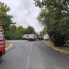 Rettungshundeeinsatz