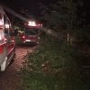 Rettungshundeeinsatz